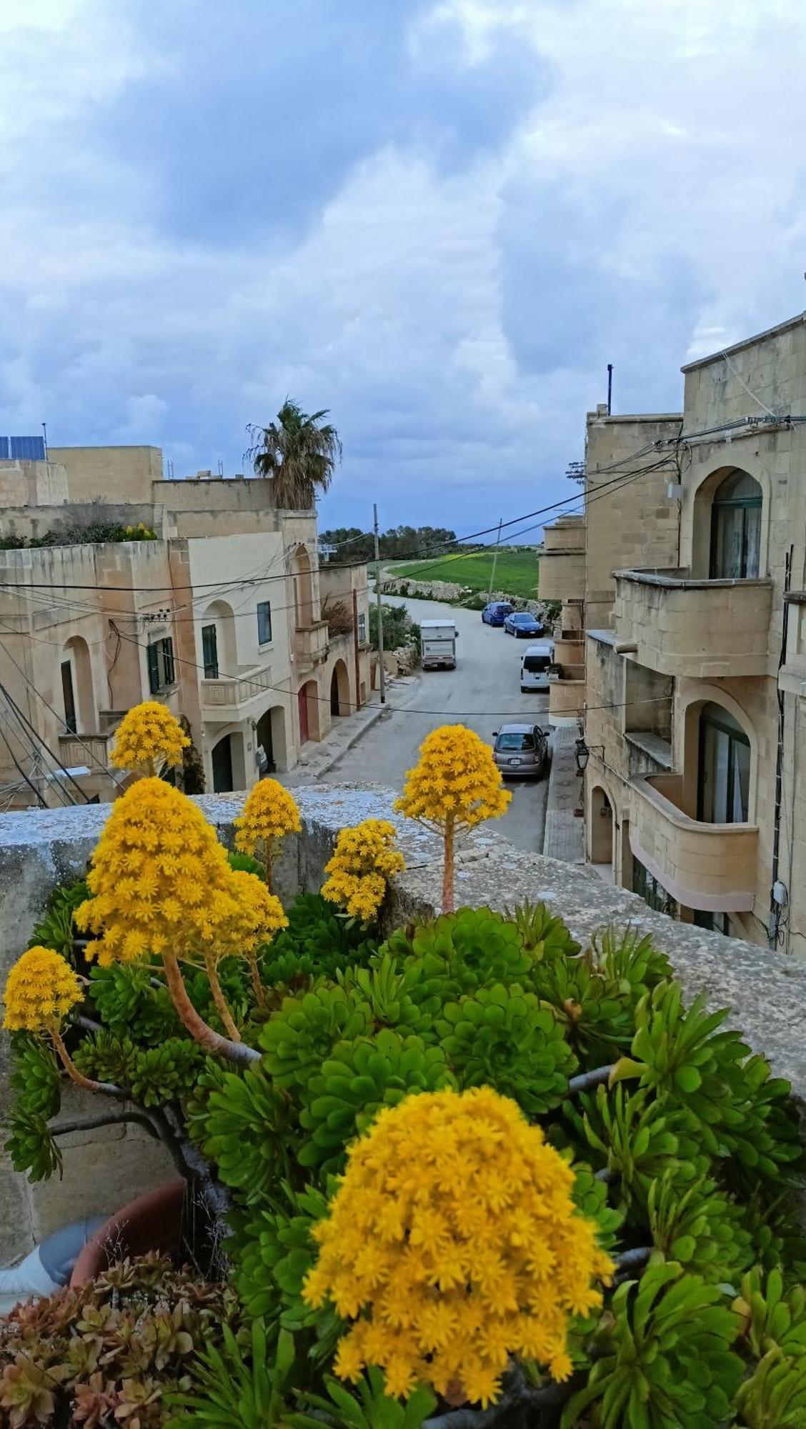 Għarb Arthome - Guest Rooms מראה חיצוני תמונה